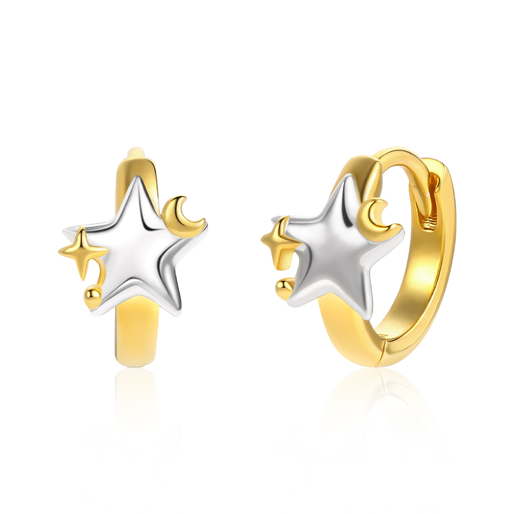 OEM ODM Sterling Silver Earrings with Custom Logo